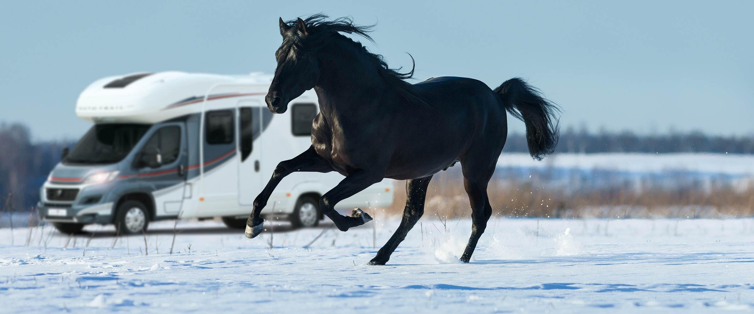 black horse finance