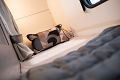 Elddis Crusader Tempest SE 40 Image Thumb