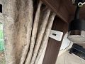 Coachman Acadia 575 Xtra Image Thumb